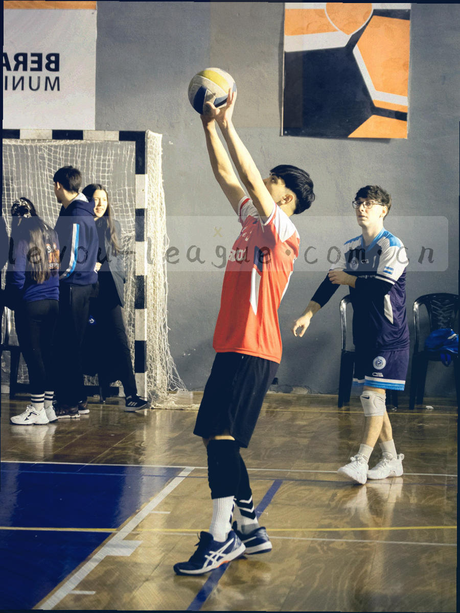 手机轮廓内的数据条与最近五轮战绩列表抽象示意